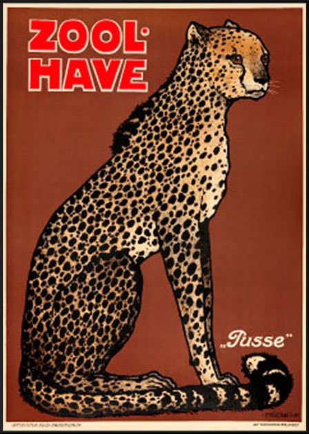 Geparden - Zoo plakat - 84 (A1)