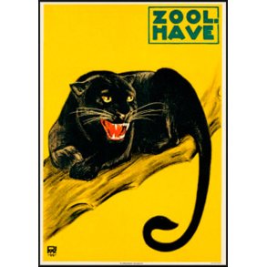 Zoologisk have Plakat - Panter