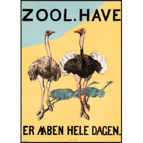 Zoologisk have Plakat - Struds