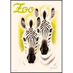 Zoologisk have Plakat - Zebra