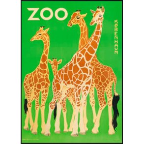 Zoologisk have Plakat - Fire giraffer