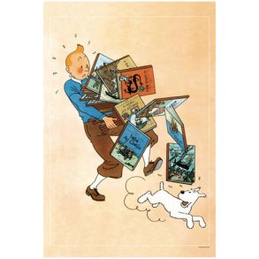 Tintin bre albummene