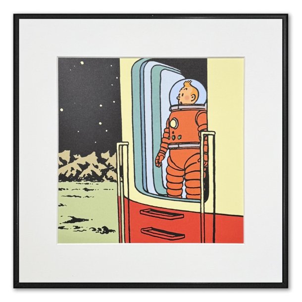 Tintin Billede - Tintin Str I Rakettens Drbning