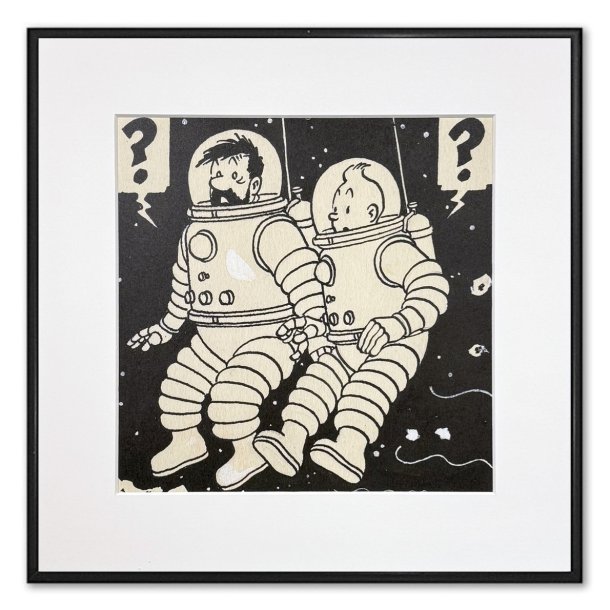 Tintin Billede - Tintin &amp; Haddock I Rumdragter S/H