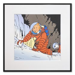 Tintin Billede - Tintin &amp; Terry I Rumdragter
