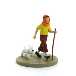 Tintin i rkenen