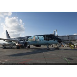 Tintin Fly Rackham "Brussels Airlines Airbus A320"
