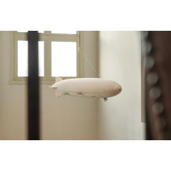 Zeppelin - Stor Model