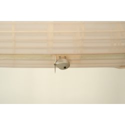 Zeppelin - Stor Model