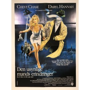 Den usynlige mands erindringer