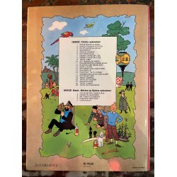 Tintin og Picaroerne