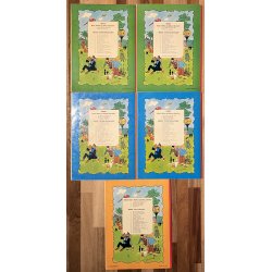 Mads, Mettes og Sjokos oplevelser 1-5