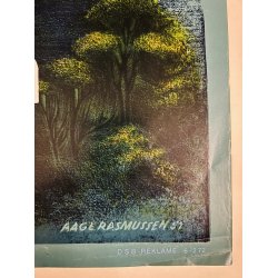 Original Plakat - DSB, Lillebltsbroen 