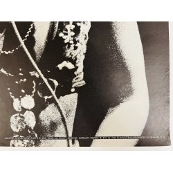 Original Plakat - Anisette, Savage Rose