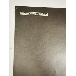 Original Plakat - Rory Gallagher