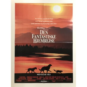 Den fantastiske hjemrejse