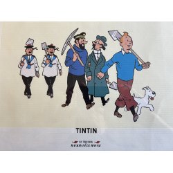 Tintin Billede - Le Tresor De Rackham Le Rouge 1996