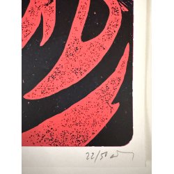 Original Vintage Plakat - The Magic Band - London 2013