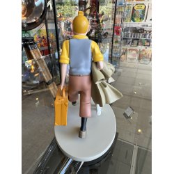 Tintin Og Terry P Vej