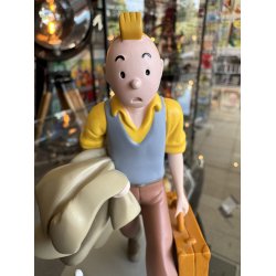 Tintin Og Terry P Vej