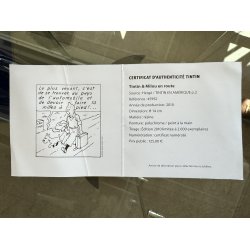 Tintin Og Terry P Vej