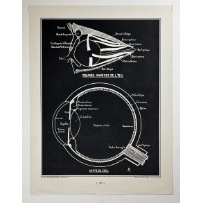 Anatomi Plakat - jet