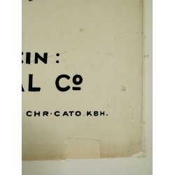 Paa Jagt Efter Lykken