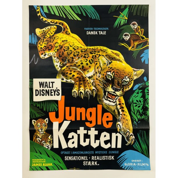 Junglekatten