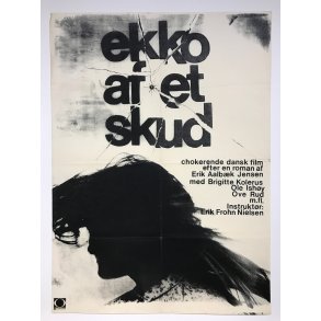 Ekko af et skud