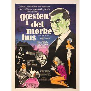 Gsten i det mrke hus