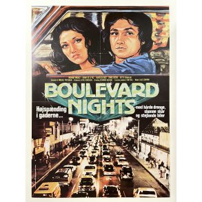 Boulevard Nights