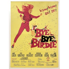 Bye Bye Birdie