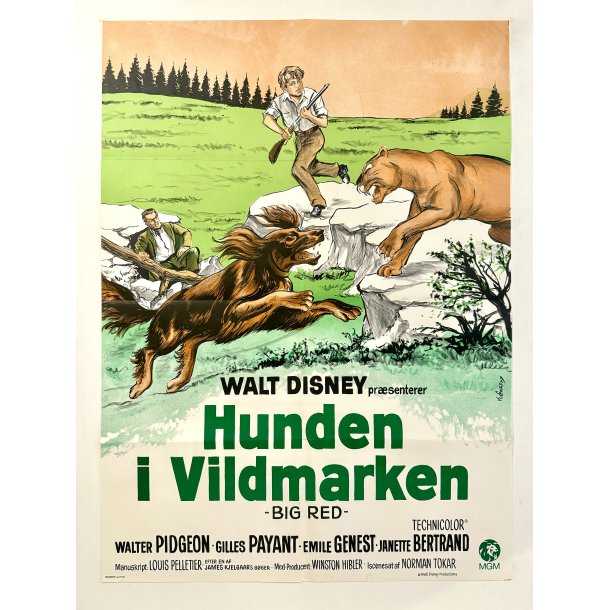 Hunden I Vildmarken