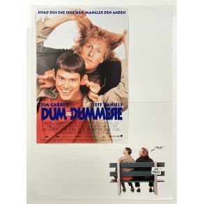 Dum og Dummere