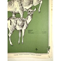 Original Plakat - Palroys Danske Jagttavle