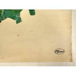 Original Plakat - Knud Rasmussen Kunsttryk