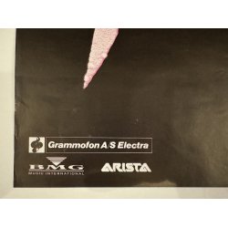 Original Plakat - Taylor Dayne