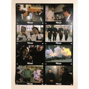 I Kina spiser de hunde (8 udhngsfoto)