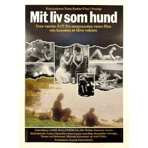 Mit Liv Som Hund
