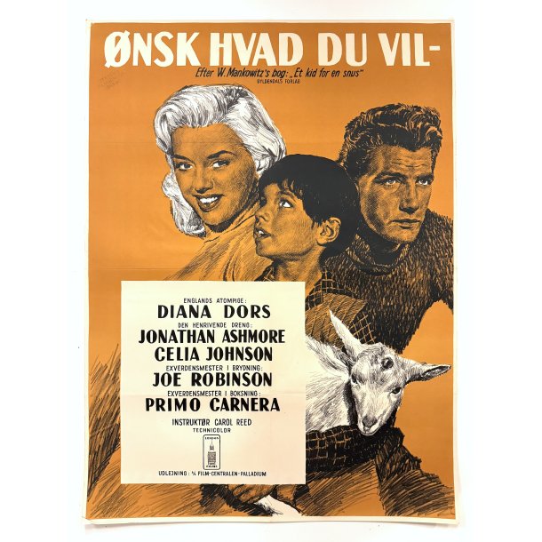 nsk Hvad Du Vil