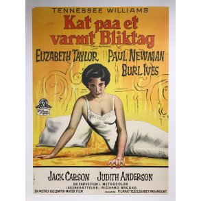 Kat Paa Et Varmt Bliktag