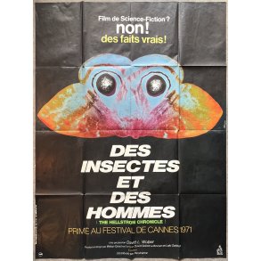 The Hellstrom Chronicle