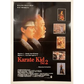 Karate Kid 2