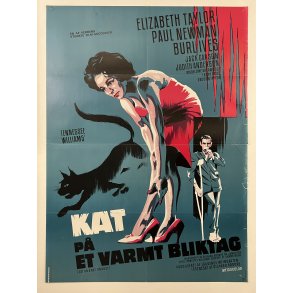 Kat Paa Et Varmt Bliktag