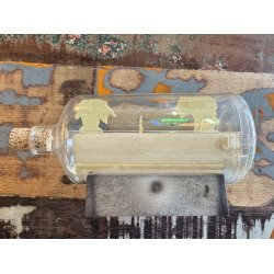 Vintage Tintin Flaskepost Sparebsse, Sparekassen SDS