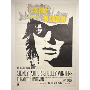 Et Strejf Af Solskin