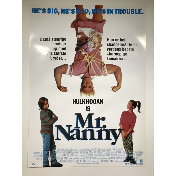 Mr. Nanny