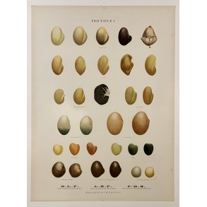 Orignal Plakat - Fr Tavle 1