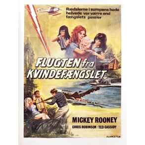 Flugten Fra Kvindefngslet