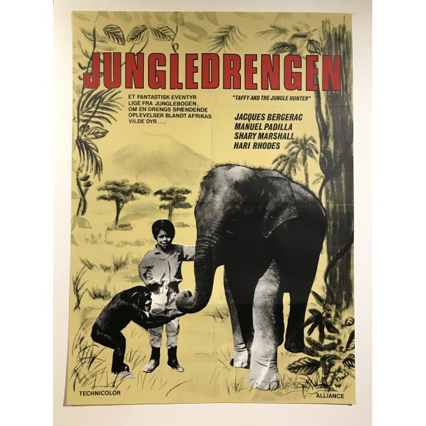 Jungledrengen